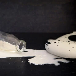 Kushies Silicatch Bib - Spilt Milk 5 Kushies Silicatch Bib - Spilt Milk -Motherswork Store 132 b3c7d81a 53ac 4ec0 8034 bc539ec46fe9