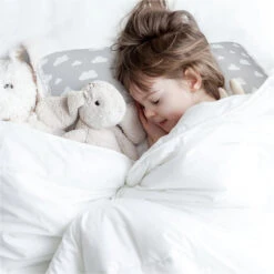 Mimos Pillow Toddler -Motherswork Store 2 0a337890 8c2d 41be 9c56 2a29197f4332