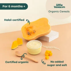 Little Blossom Organic Brown Rice Cereal | Pumpkin -Motherswork Store 3c.CerealClaimsPumpkin