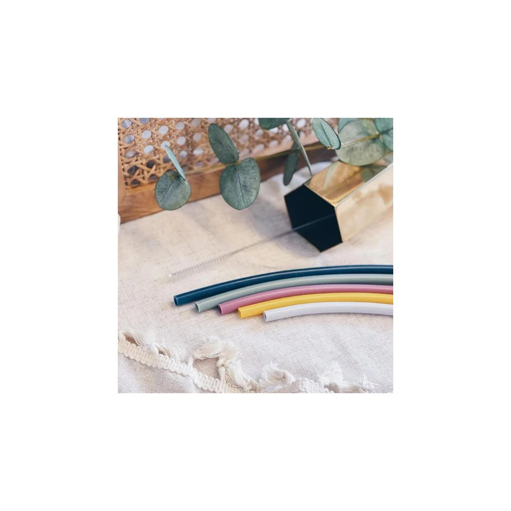 Busymat Reusable Straw 1 Busymat Reusable Straw