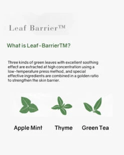 Botanical Therapy Stretch Cream -Motherswork Store 4 800x ebc215e7 5897 4381 baa3 458335da6850