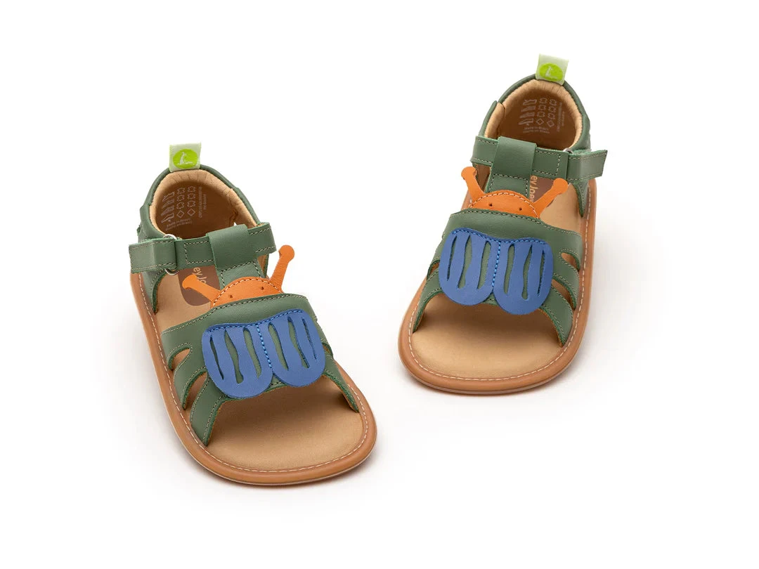 Tip Toey Joey Beetle (Salsa/Blue Tang/Tangerine) 2 Tip Toey Joey Beetle (Salsa/Blue Tang/Tangerine) - Image 2