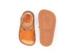 Tip Toey Joey Craby - Alderwood/ Tangerine -Motherswork Store AE.CRA1 4361 2