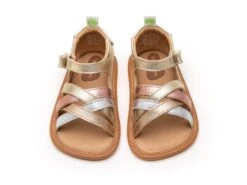 Tip Toey Joey Toddler Sandal Criss Cross - Chm/ M.Salmon/ Rose Gold -Motherswork Store AE.CRC1 4366 5
