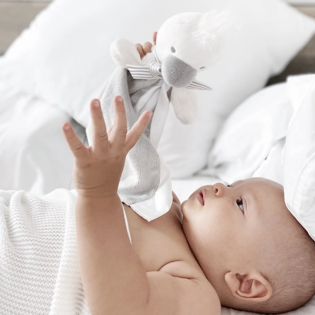 Raph&Remy Soother Buddy Security Blanket 2 Raph&Remy Soother Buddy Security Blanket - Image 2