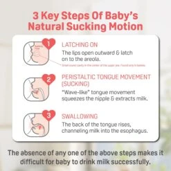 Pigeon SofTouch™ BPP Nursing Bottle T-Ester (Logo) 19 Pigeon SofTouch™ BPP Nursing Bottle T-Ester (Logo) -Motherswork Store ecomsSofTouch Nursing Bottle FA 04 scaled 1