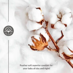 Applecrumby® Airplus Overnight Pull Ups Night Diapers (Mega) -Motherswork Store sg 11134207 7rd5e lwguhioc9fqh76 ab4cf7ad e761 456c 88e8 41b46893669b