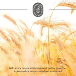 Applecrumby® AirPlus Overnight Tape Diapers (Mini) -Motherswork Store sg 11134207 7rd6x lwgv64904wp610